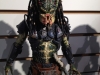 thelostpredator