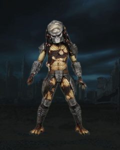 Boar-800