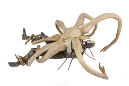 prometheus-trilobite-engineer-2pk-1