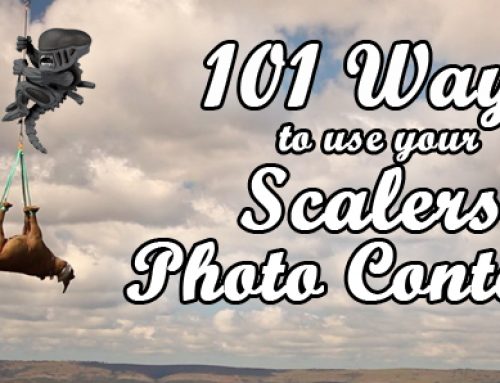 PHOTO CONTEST: 101 Ways to Use Your Scalers!