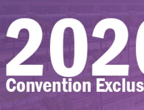 2020 Convention Exclusives: Complete Roundup and Sales Details
