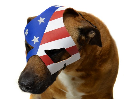 NECAOnline.com | DISCONTINUED - Kick-Ass 2 – Eisenhower Prop Replica Dog Mask