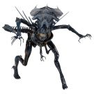 NECAOnline.com | Aliens - Xenomorph Queen Ultra Deluxe Boxed Action Figure