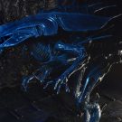 NECAOnline.com | Aliens - Xenomorph Queen Ultra Deluxe Boxed Action Figure