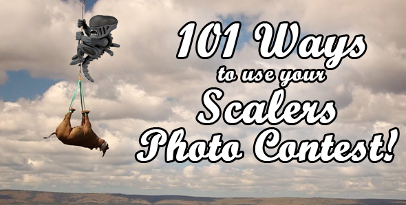 NECAOnline.com | PHOTO CONTEST: 101 Ways to Use Your Scalers!