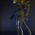1300x Alien3