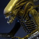 1300x Alien6
