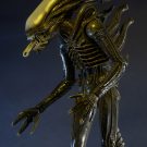 1300x Alien7