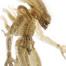 NECAOnline.com | Closer Look: Aliens 7