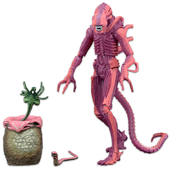 NECAOnline.com | Aliens – 7" Scale Action Figure - Xenomorph Warrior (Arcade Appearance)