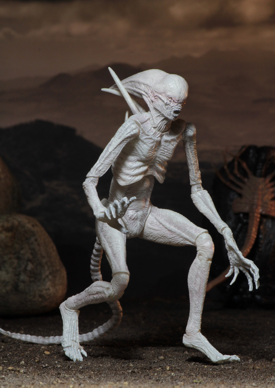 Massive Photo Gallery Alien Covenant Products Revealed