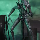 NECAOnline.com | Aliens - 7