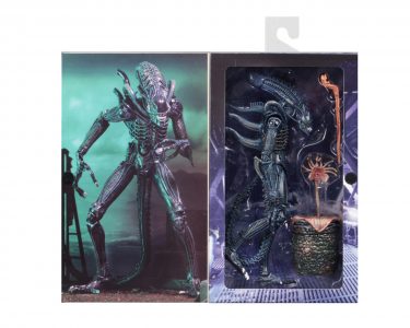 NECAOnline.com | Ultimate Alien Warrior Blue pkg4