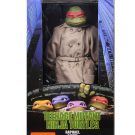 NECAOnline.com | Shipping This Week - TMNT Casey Jones Mask, Quarter Scale Disguised Raphael, and 1994 Godzilla!