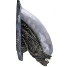 NECAOnline.com | Alien - Foam Replica - Xenomorph Wall-Mounted Bust
