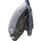 NECAOnline.com | Alien - Foam Replica - Xenomorph Wall-Mounted Bust