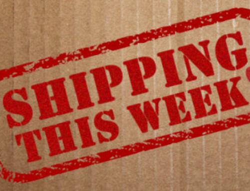 Shipping This Week: Buddy The Elf and Restocks of Ultimate Gizmo, and TMNT Donatello & Leonardo!