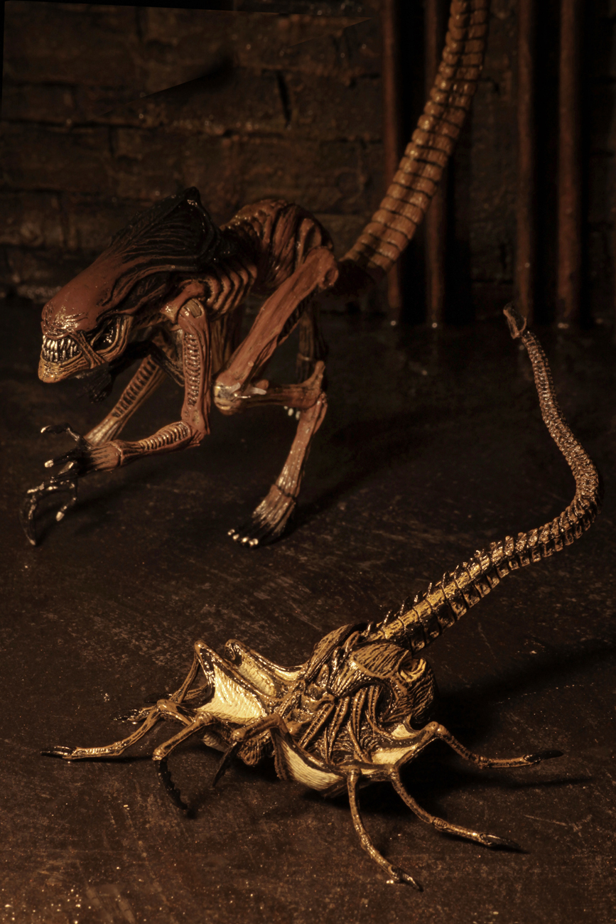 Alien 3 – Accessory Pack – Creature Pack – NECAOnline.com