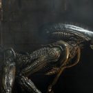 NECAOnline.com | Alien 3 – 7” Scale Action Figure – Ultimate Dog Alien