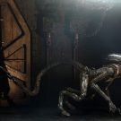 NECAOnline.com | Alien 3 – 7” Scale Action Figure – Ultimate Dog Alien