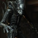 NECAOnline.com | Alien - 7