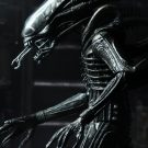 NECAOnline.com | Alien - 7