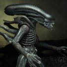 NECAOnline.com | DISCONTINUED Alien – 7” Scale Action Figure – 40th Anniversary Assortment Wave 4