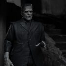 NECAOnline.com | Universal Monsters - 7” Scale Action Figure - Ultimate Frankenstein's Monster (B&W)