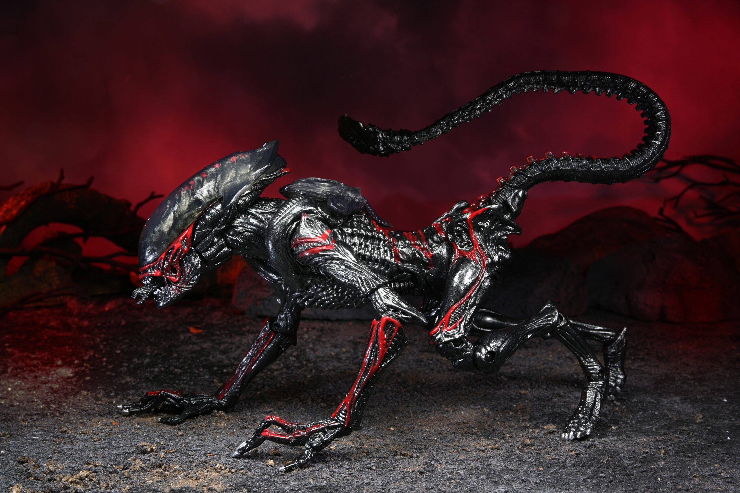NECAOnline.com | Aliens - 7" Scale Action Figure - Kenner Tribute Ultimate Night Cougar Alien