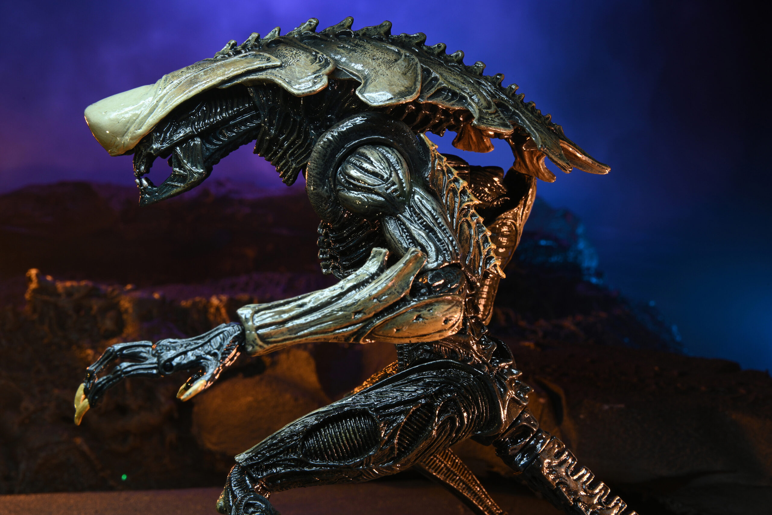 Movie Deco Alien vs. Predator Aliens Set of 3 From NECA