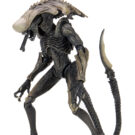 NECAOnline.com | Alien Vs Predator - 7