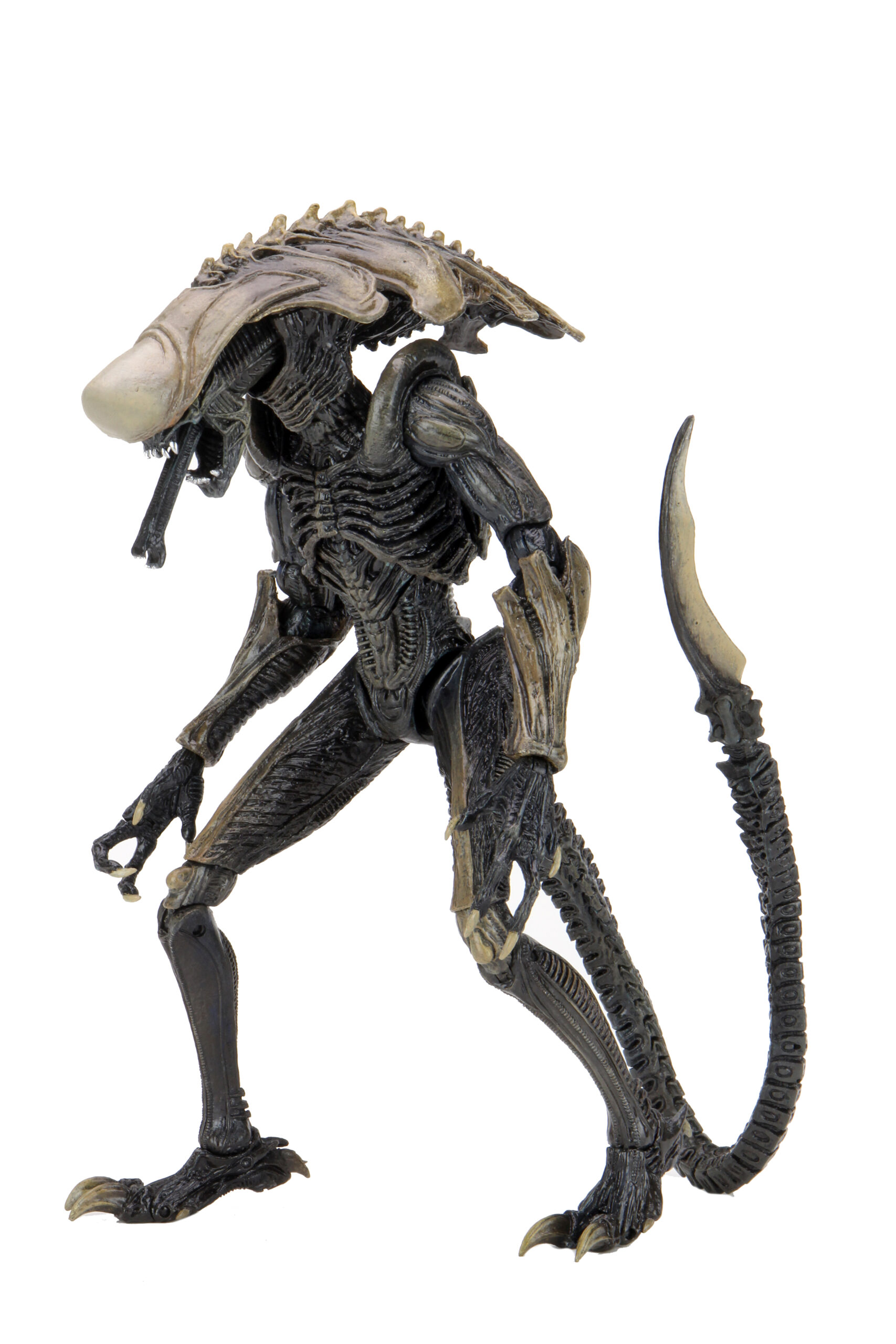 Alien Vs Predator – 7″ Scale Action Figure – Alien Assortment (Movie Deco)  –