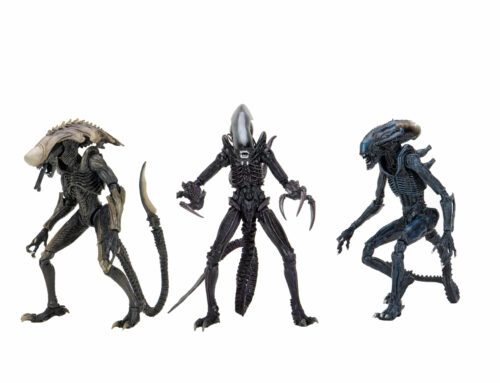 Alien Vs Predator – 7″ Scale Action Figure – Alien Assortment (Movie Deco)