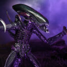 NECAOnline.com | Alien Vs Predator - 7