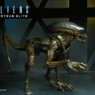 NECAOnline.com | Aliens: Fireteam Elite – 7” Scale Action Figures – Series 1