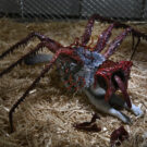 NECAOnline.com | The Thing - 7" Scale Action Figure - Deluxe Ultimate Dog Creature