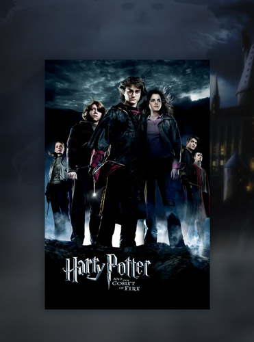 NECAOnline.com | Harry Potter - Canvas Art - Goblet of Fire **DISCONTINUED**