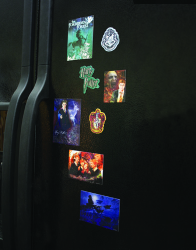 NECAOnline.com | DISCONTINUED - Harry Potter - 8-Pc Magnet Set - Order of the Phoenix